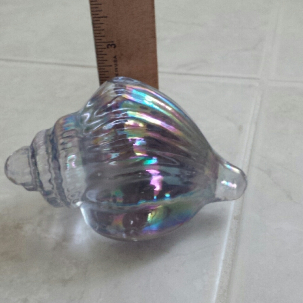 Iridescent Shell Decor - Picture 8 of 9